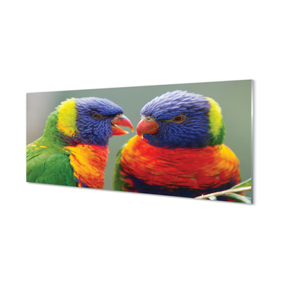 Üvegképek színes papagáj
