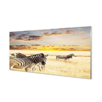 Üvegképek Zebrák mező naplemente