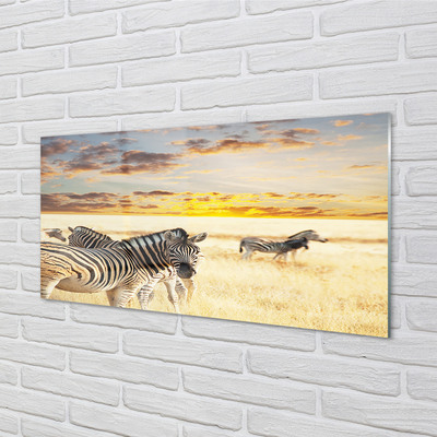 Üvegképek Zebrák mező naplemente