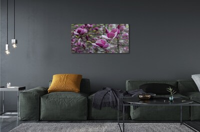 Üvegképek lila magnólia