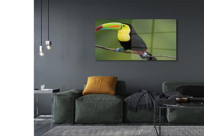 Üvegképek Színes papagáj egy ágon
