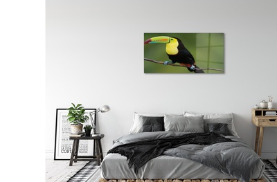 Üvegképek Színes papagáj egy ágon