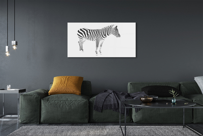 Üvegképek festett zebra