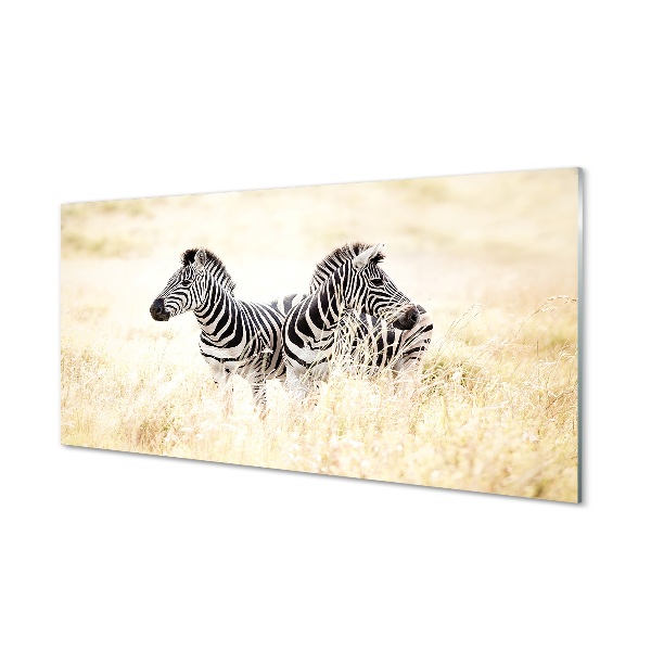 Üvegképek zebra box
