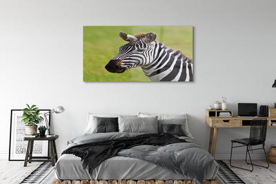 Üvegképek zebra