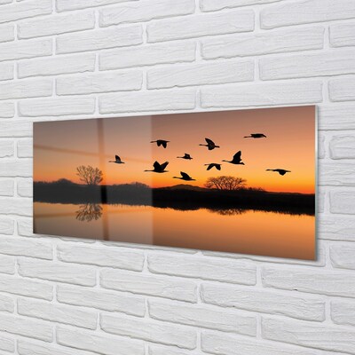 Üvegképek Repülő madarak naplemente