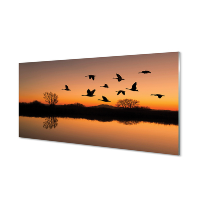 Üvegképek Repülő madarak naplemente