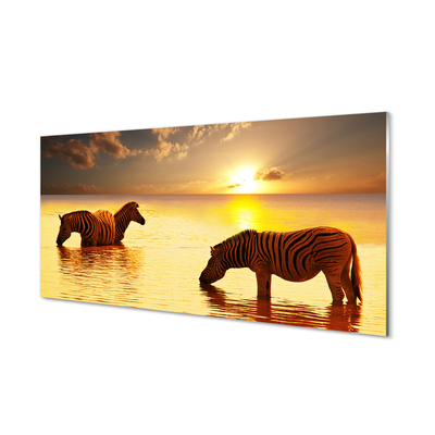 Üvegképek Zebrák víz naplemente