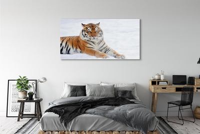 Üvegképek Tiger tél
