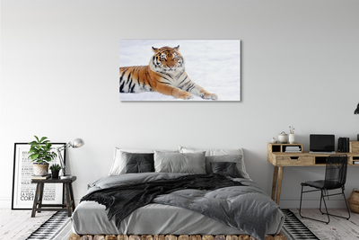Üvegképek Tiger tél