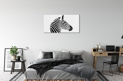 Üvegképek Illusztráció zebra