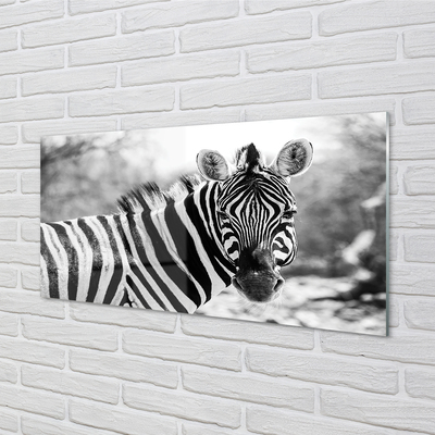 Üvegképek retro zebra