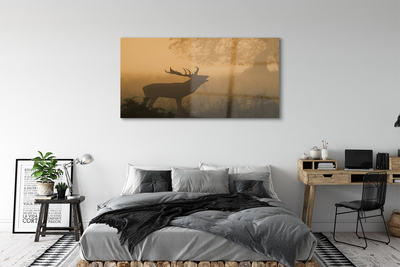 Üvegképek Deer napkelte