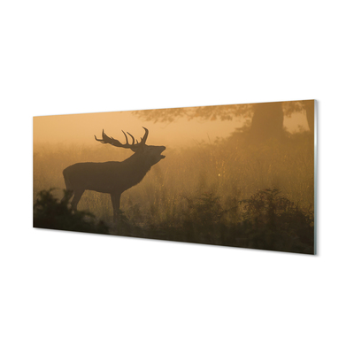 Üvegképek Deer napkelte