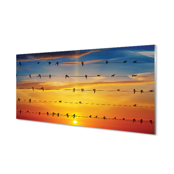 Üvegképek Madarak a kötelek naplemente
