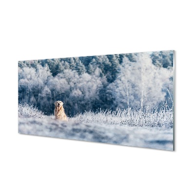 Üvegképek Winter mountain dog