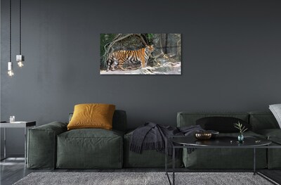 Üvegképek tigris dzsungel
