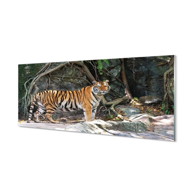 Üvegképek tigris dzsungel