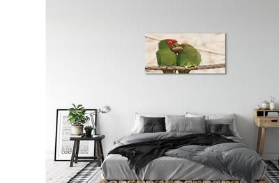 Üvegképek zöld papagájok