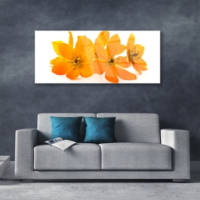 Fali üvegkép Orange növény virágai