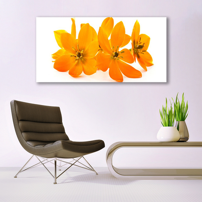 Fali üvegkép Orange növény virágai