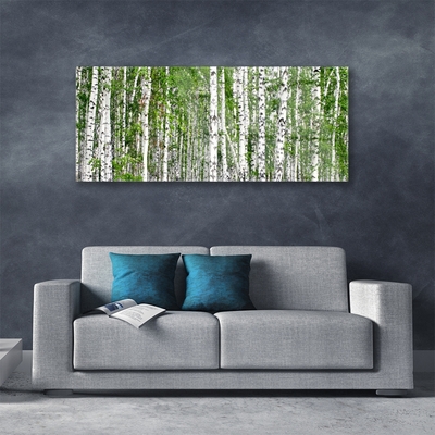 Fali üvegkép Nyírfa erdő Természetvédelmi