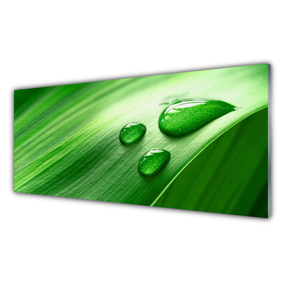 Fali üvegkép Leaf Water Drops
