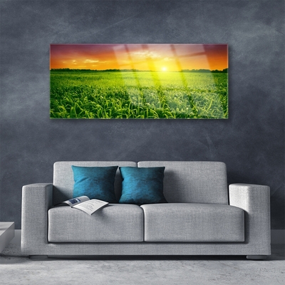 Üvegfotó Wheat Field Sunrise