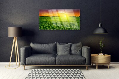 Üvegfotó Wheat Field Sunrise