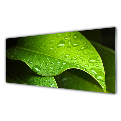 Modern üvegkép Dew Drops Leaf