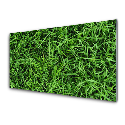Üvegkép fű Lawn