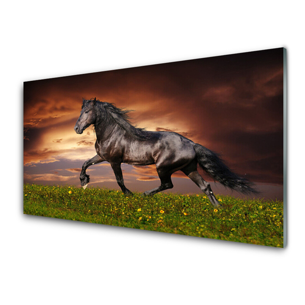 Üvegkép Black Horse Meadow Állatok