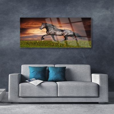 Üvegkép Black Horse Meadow Állatok