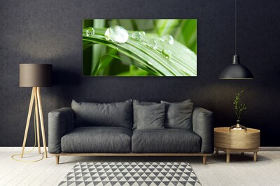 Modern üvegkép Leaf Dew Drops