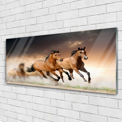 Modern üvegkép lovak Állatok