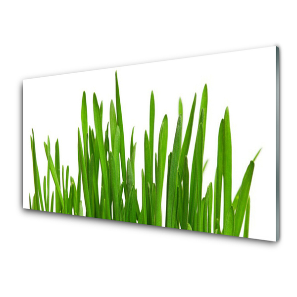 Üvegkép Grass A Wall
