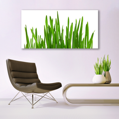 Üvegkép Grass A Wall