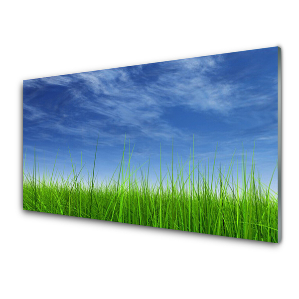 Fali üvegkép Sky Grass Nature Plant