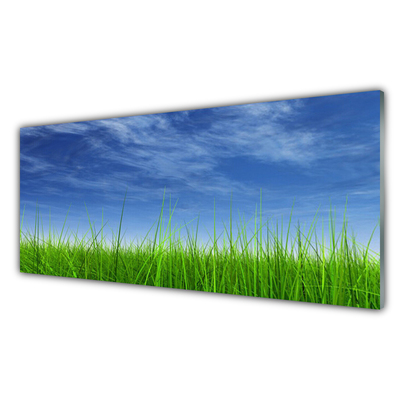 Fali üvegkép Sky Grass Nature Plant