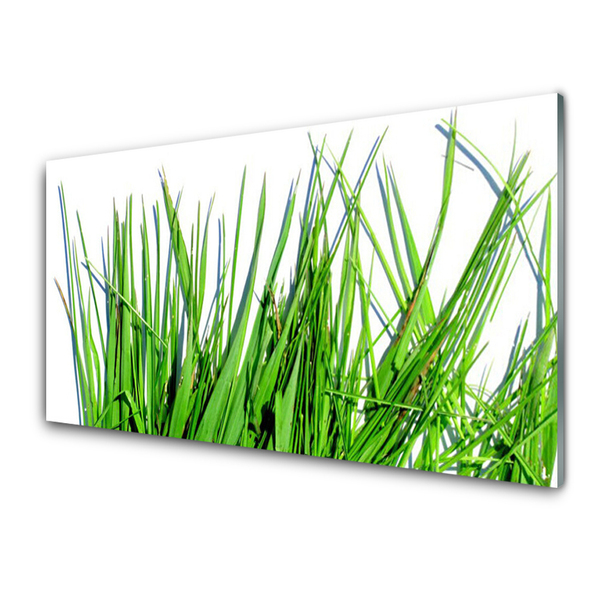 Üvegfotó Grass A Wall