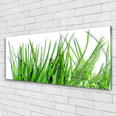 Üvegfotó Grass A Wall