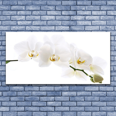 Üvegfotó orchidea virágok