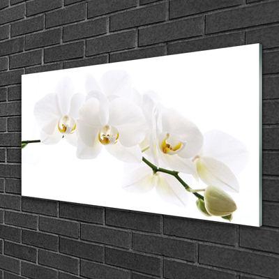 Üvegfotó orchidea virágok