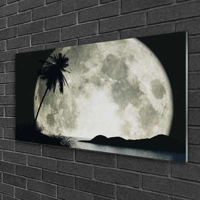 Fali üvegkép Éjszakai hold táj Palm