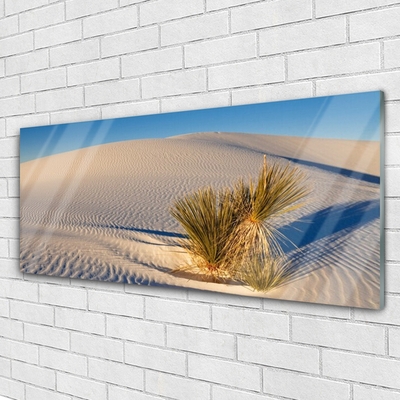 Üvegfotó Fekvő sivatagi homok