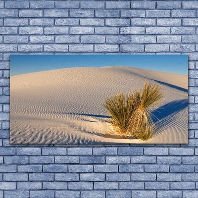 Üvegfotó Fekvő sivatagi homok
