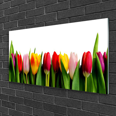 Üvegkép falra üzem tulipán