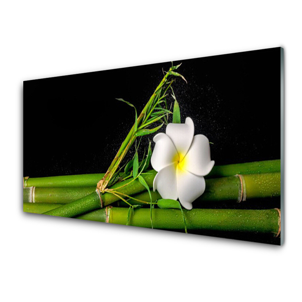 Modern üvegkép Bamboo Virág Plant