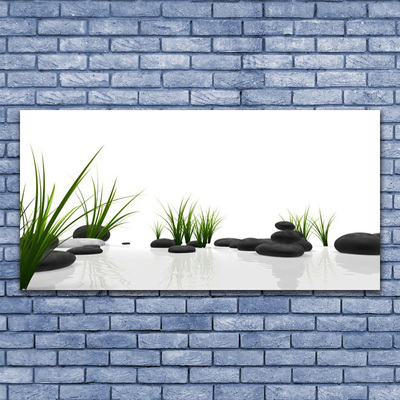 Fali üvegkép Stones Grass Art