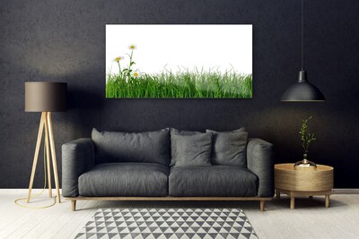 Üvegkép falra Grass Nature Plant